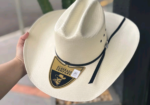 Chapéu de cowboy